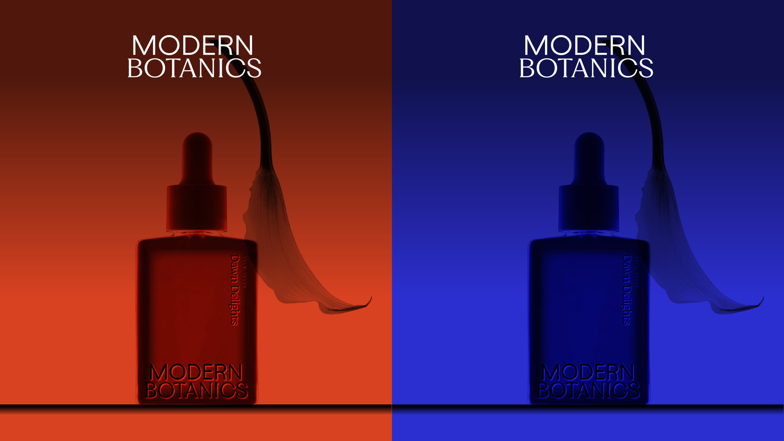 dawn-delights-2colour